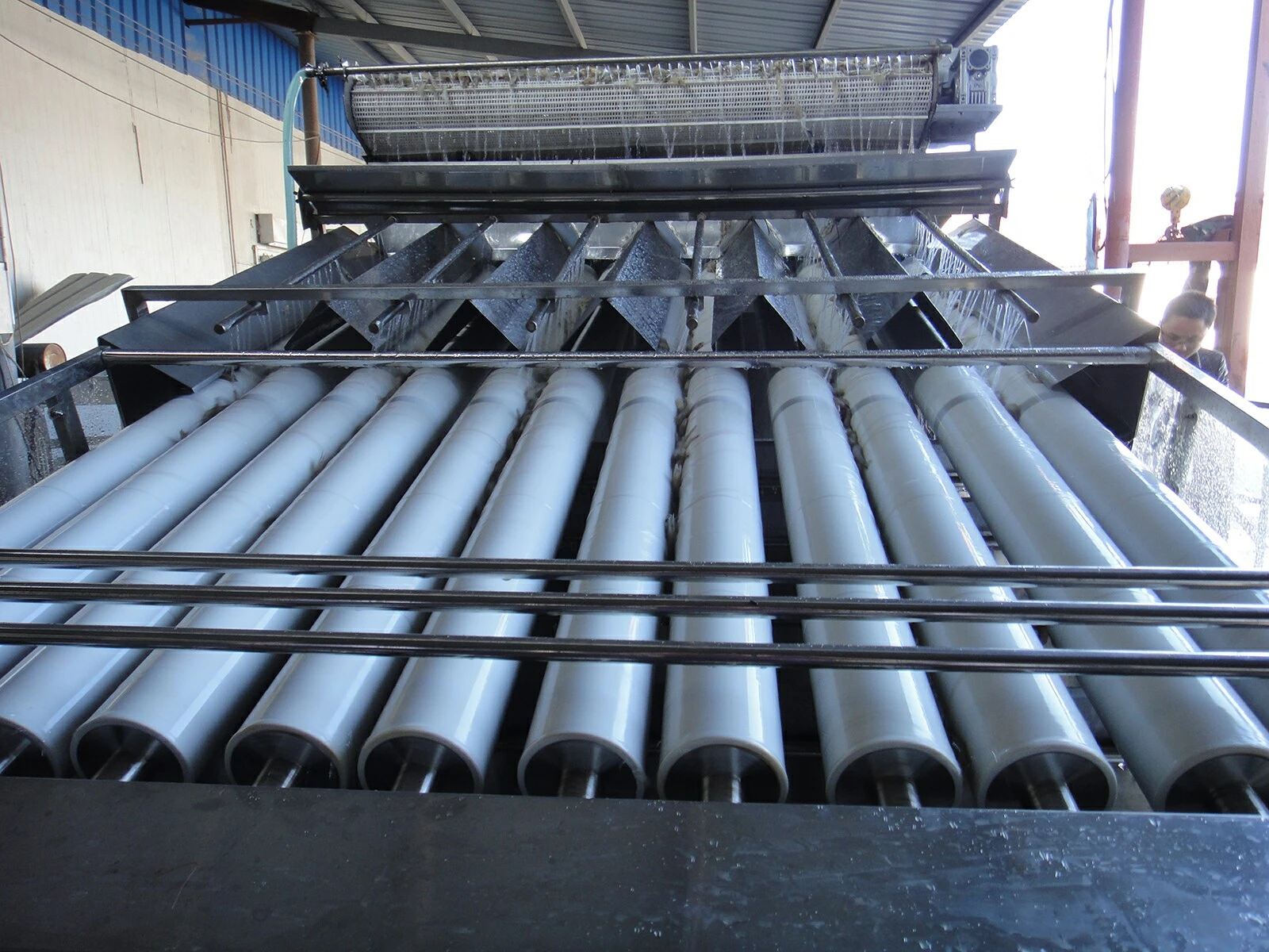 Shrimp Grading Machine Shrimp Grading Machine