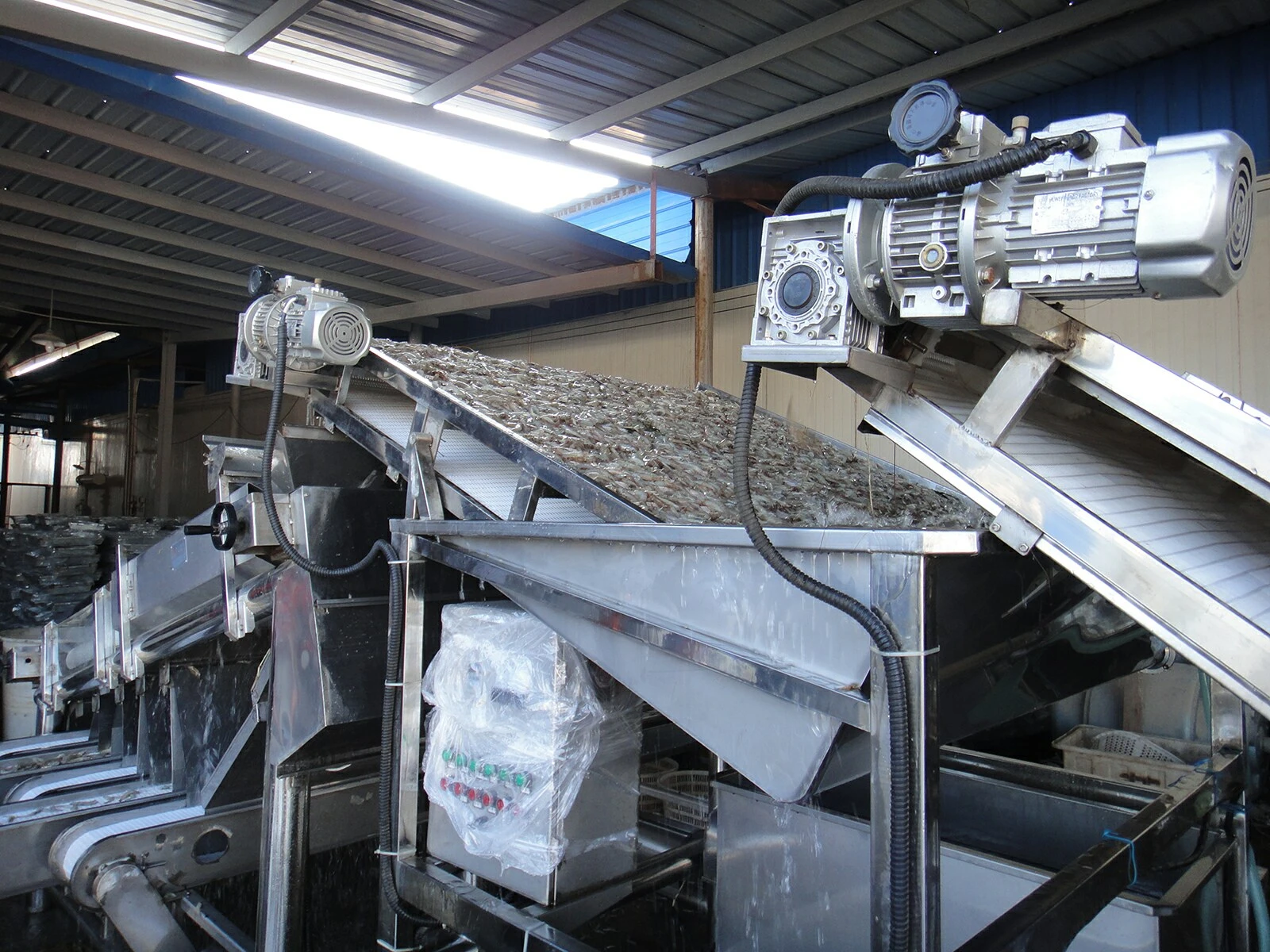 Shrimp Sorting Machine For Grading Shrimp Sorting Machine For Grading