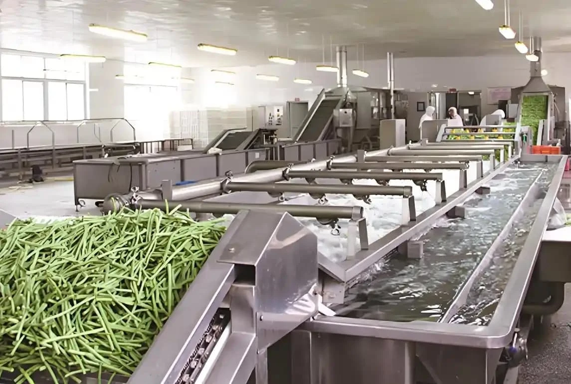 Frozen Vegetable Production Line 1 1 Frozen Vegetable Production Line 1 1