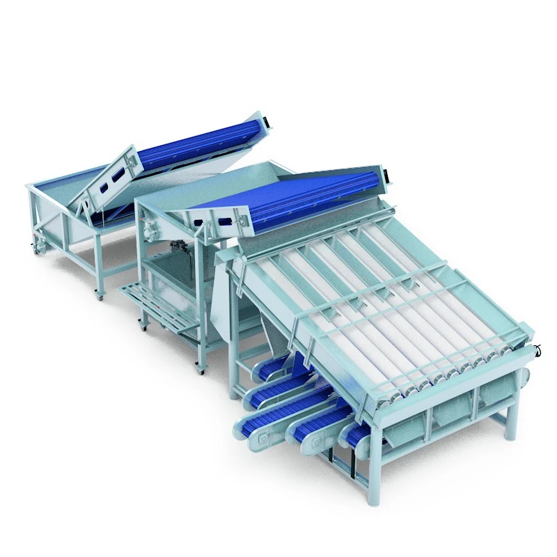 Smart Shrimp Sorter factory